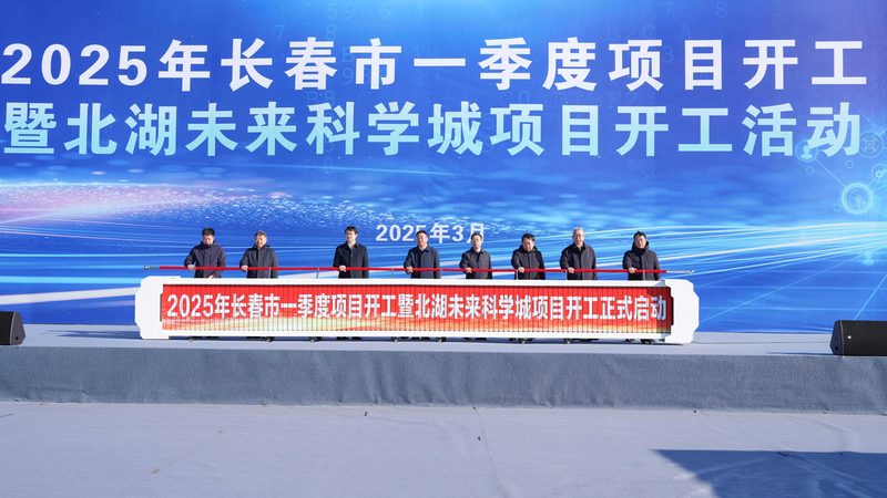 行业趋势：从“替代”走向“精准调控